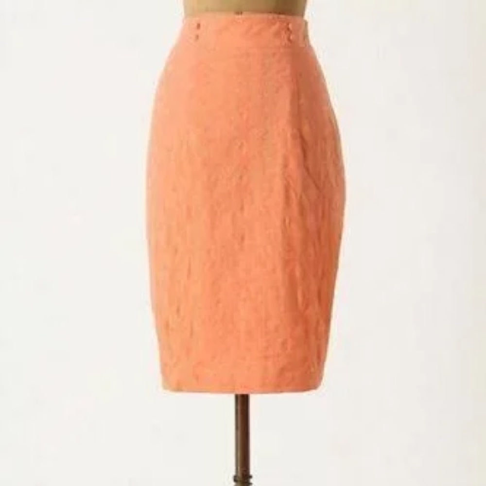 Anthropologie The Addison Story Cotton Discreet Designs Skirt Size 2 NWT